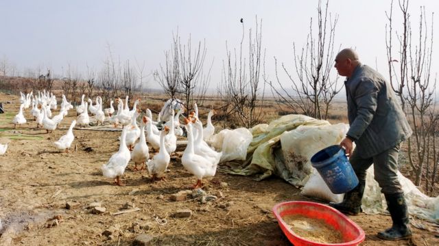 2015年10月底，中共中央国务院曾发布《中共中央国务院关于打赢脱贫攻坚战的决定》，提出目标：到2020年，确保中国现行标准下农村贫困人口实现脱贫，贫困县全部摘帽，解决区域性整体贫困。